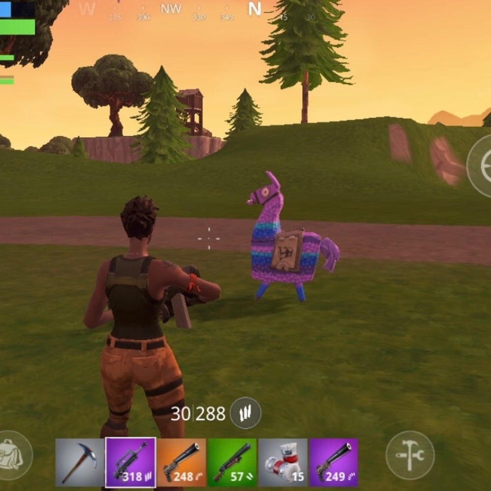 Meet your Posher, Gabriella